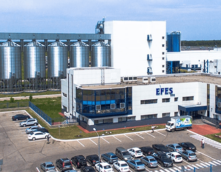 AB InBev Efes